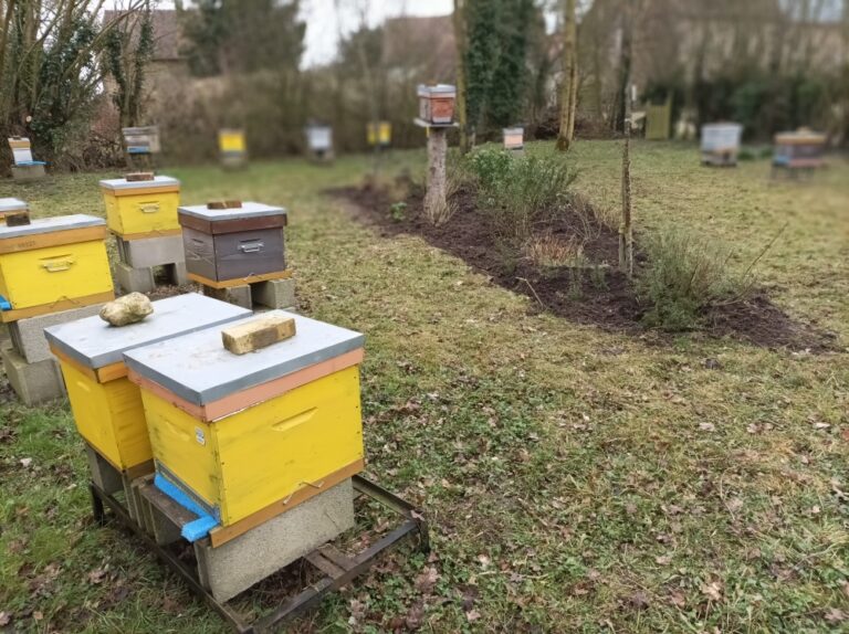Déplacement des plantations