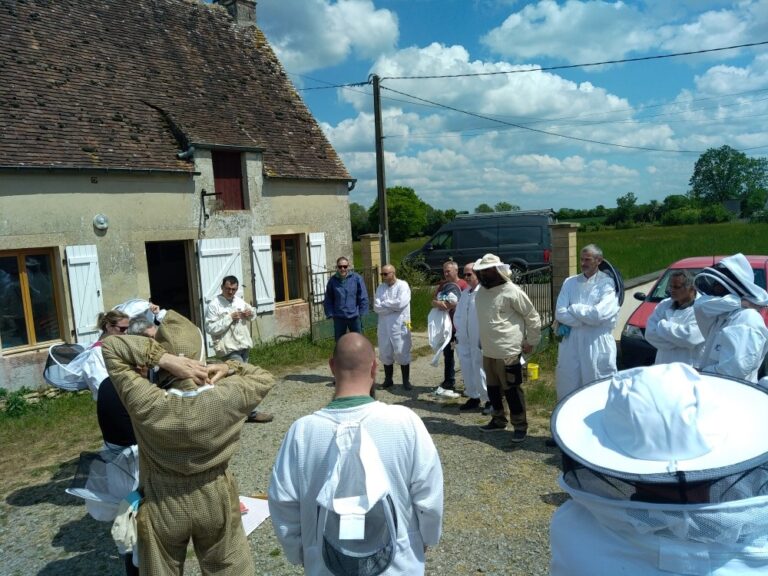Quelques images des cours