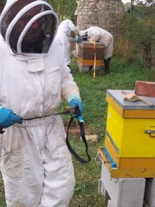Lire la suite à propos de l’article Grandes manoeuvres d’automne
