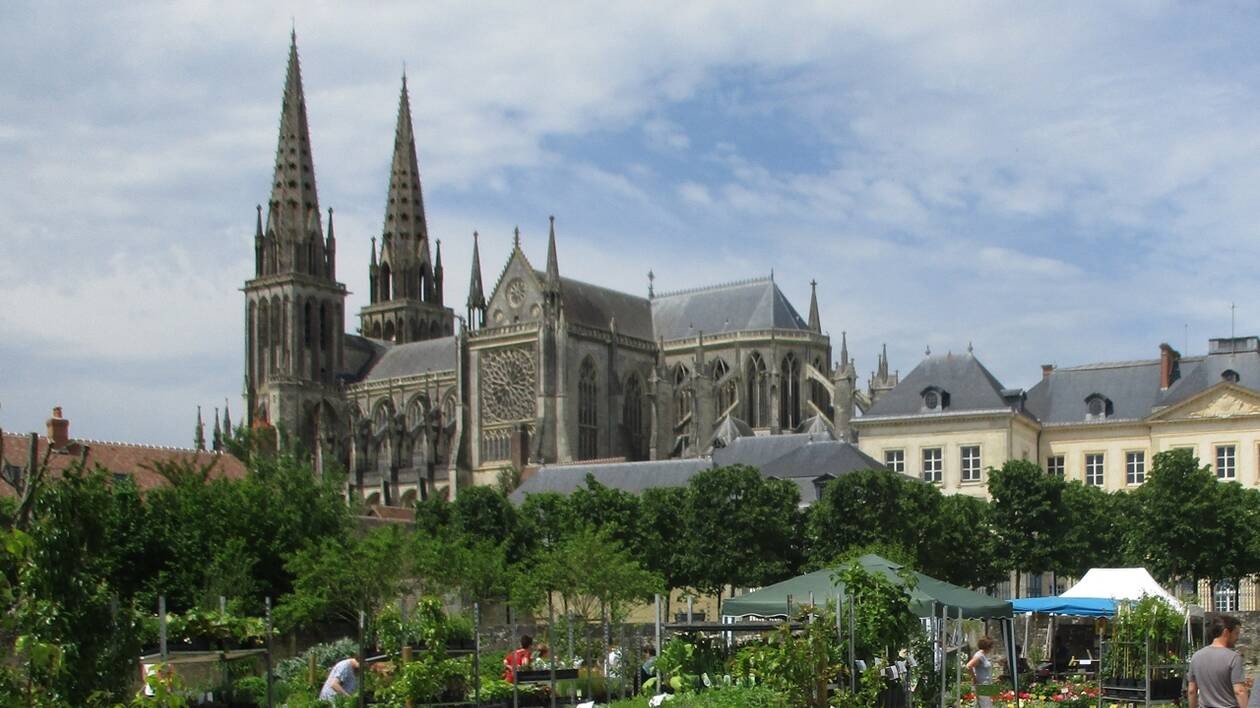 Lire la suite à propos de l’article Fête des plantes octobre 2025 à Sées