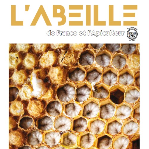 Lire la suite à propos de l’article On parle des reines du Ceta dans l&rsquo;AdF